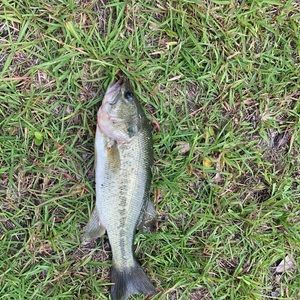 Meet your Posher, Bryson